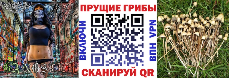 Псилоцибиновые грибы MAGIC MUSHROOMS  Купить  Валдай 