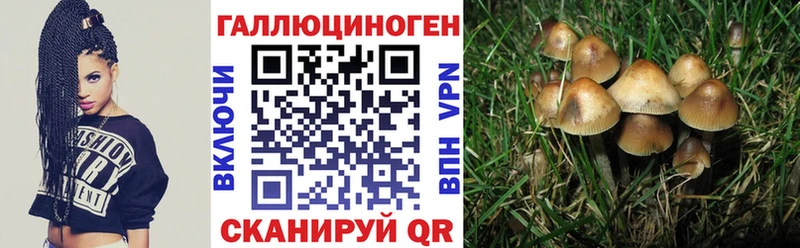 Галлюциногенные грибы MAGIC MUSHROOMS Валдай