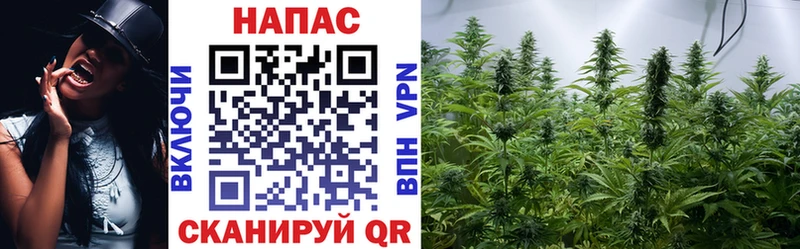 Марихуана план  Купить где  Валдай 